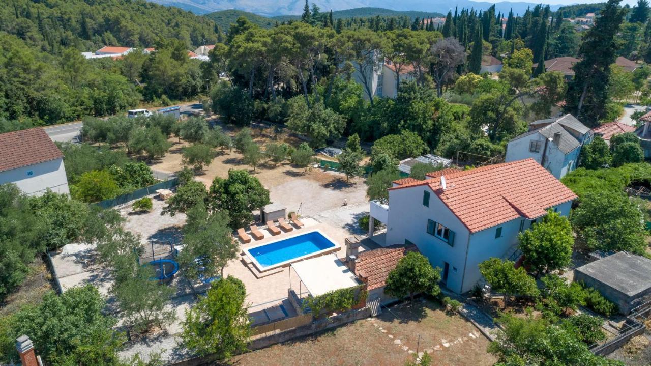 Villa Ivanka 科尔丘拉 外观 照片